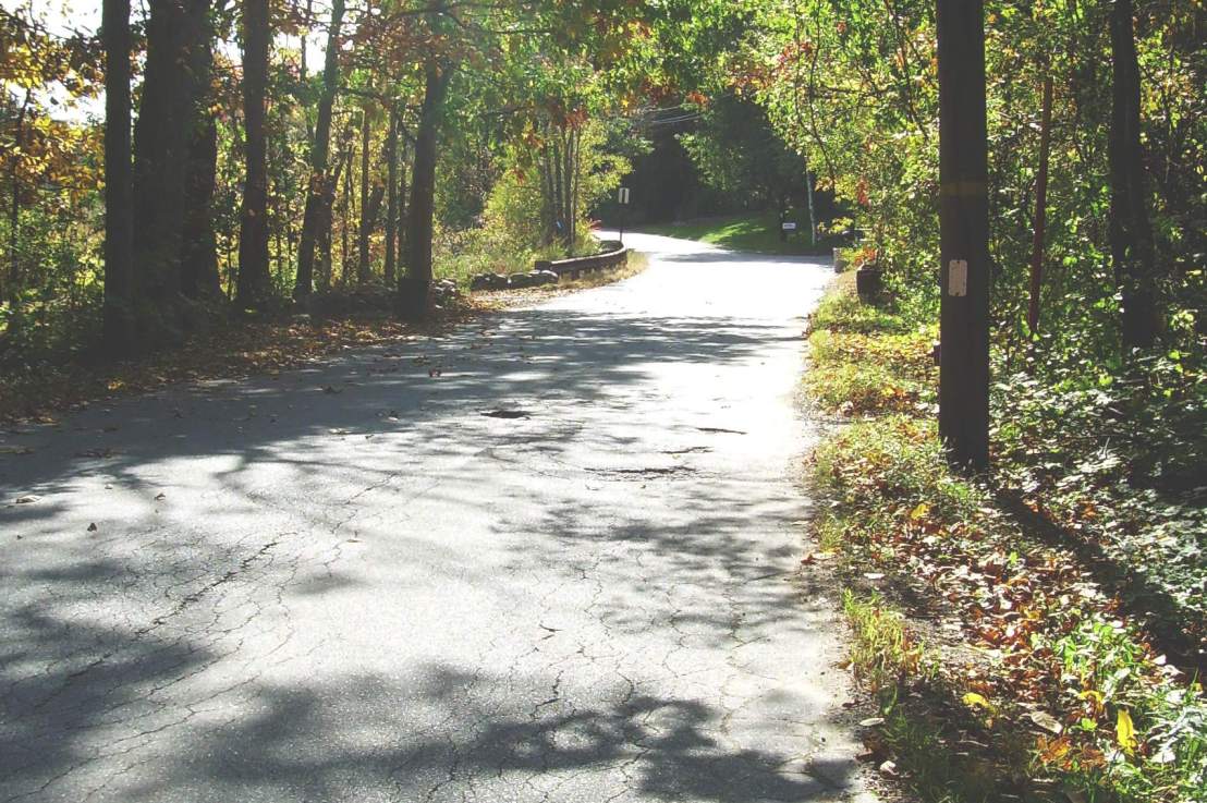 Inauguration Day—Now What?