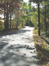 About Bumps, Scrapes and&nbsp;Kisses