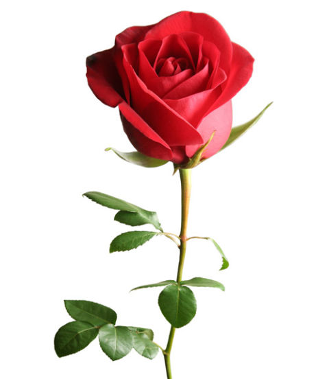 What’s in a&nbsp;Name?